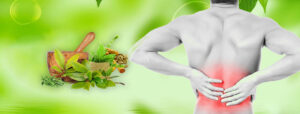 Ayurvedic Back Pain Treatments